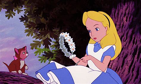 alice  wonderland alice  wonderland cartoon alice  wonderland