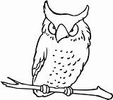 Owl Coloring Pages Flying Kids Printable Colouring Drawing Print Comments Getdrawings Coloringhome sketch template