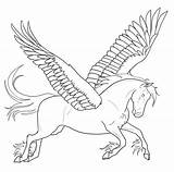Pegasus Coloring Pages Unicorn Wings Awesome Kids Sheet Adults Printable Getdrawings Getcolorings Color Print Template sketch template
