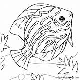 Fish Coloring Pages Realistic Beautiful Printable Most Getcolorings Print Color sketch template