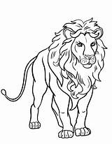 Leeuw Kleurplaat Leoni Lions Kleurplaten Leao Angry Animal Stampare Topkleurplaat Narnia Paperblog sketch template