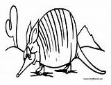 Armadillo Coloring Pages Colormegood Animals sketch template