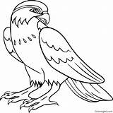 Falcon Coloring Pages sketch template