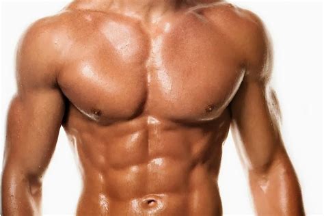 full fitness muscle building workouts top  exercises  gain muscle