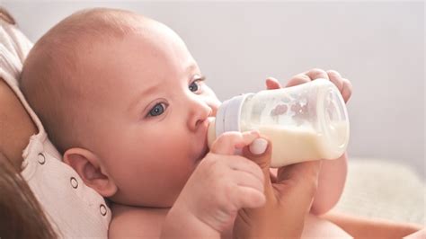 aturan memberikan susu formula  bayi  lahir alodokter