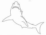 Shark Pages Colouring Mask Coloring Printable Great Color sketch template