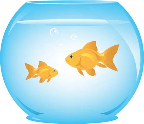 cartoon   empty fish bowl illustrations royalty  vector