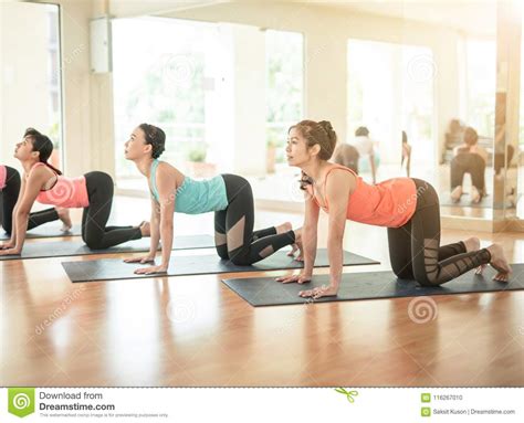 asian woman  yoga  yoga studio stock photo image  poses