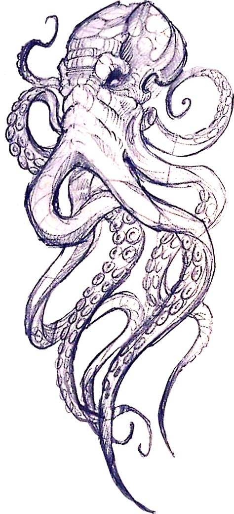 Octopus Drawings Tattoos