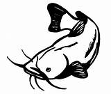 Ikan Lele Sketsa Komposisinya Cek Ilustrasi Siluet sketch template