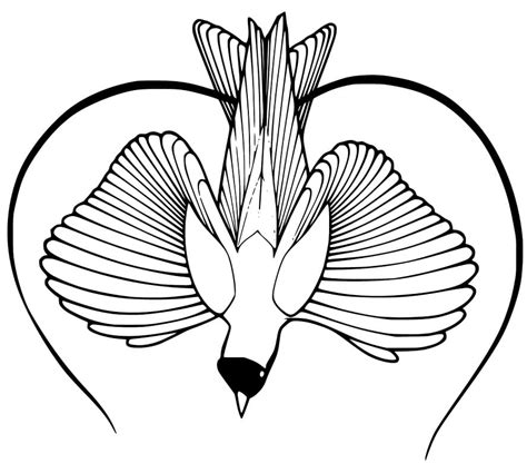 printable bird  paradise coloring page  printable coloring