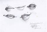 Lips Sketch Sketches Deviantart Drawings Studies Pencil sketch template
