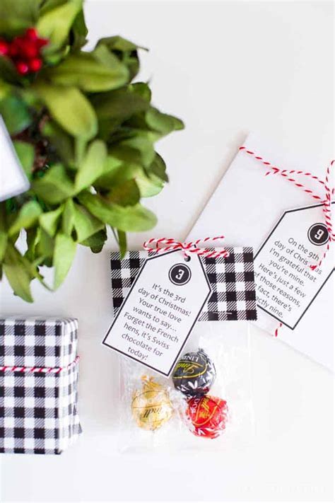 12 Days Of Christmas T Ideas For Guys With Printable Tags