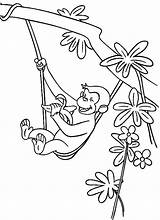 George Curious Coloring Pages Tree Clipart Banana Monkey Halloween Printable Head Library Getcolorings Birthday Happy Eating Comments sketch template