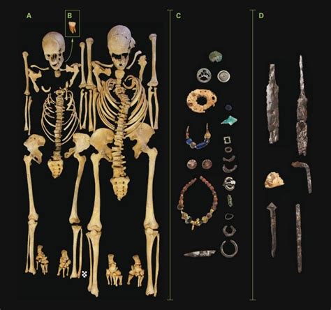 The 10 Most Mysterious Skeletons Of 2016 Justinian