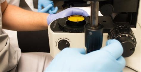 Semen Analysis For Male Infertility Testing Ny Maze Laboratories