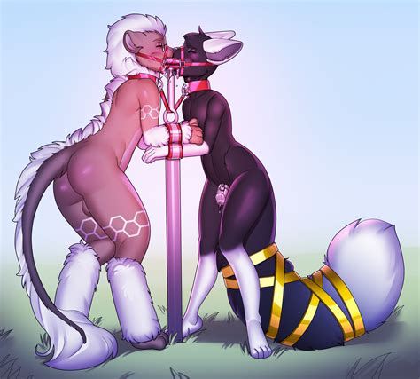 rule 34 anthro arh balls bondage bound chastity cage