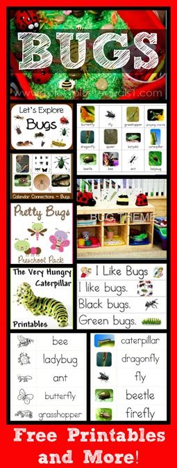 bugs theme printables