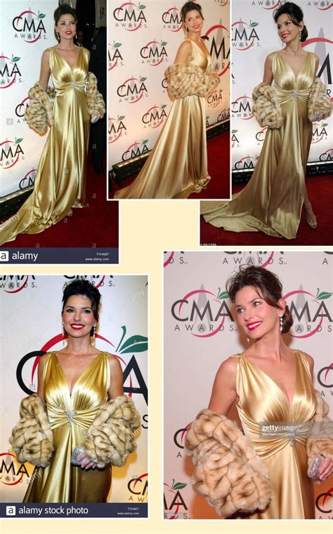 Shania Twain Satin Gold Dress By Satin Sex Issuu