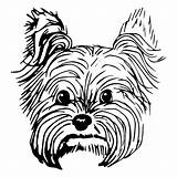 Yorkie Drawing Dog Yorkshire Terrier Dogs Puppy Vector Sketch Face Purebred Line Breed Draw Drawings Choose Board Peeking Etsy Clipartmag sketch template