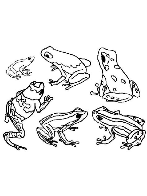 amazing frog coloring pages    collection  frog coloring