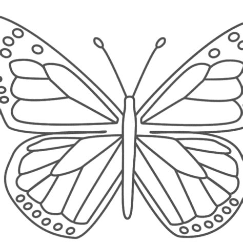 pin  michelle krabec holdman  monarchs butterfly template