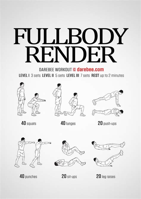 full body workout  beginners  home estudioespositoymiguelcomar