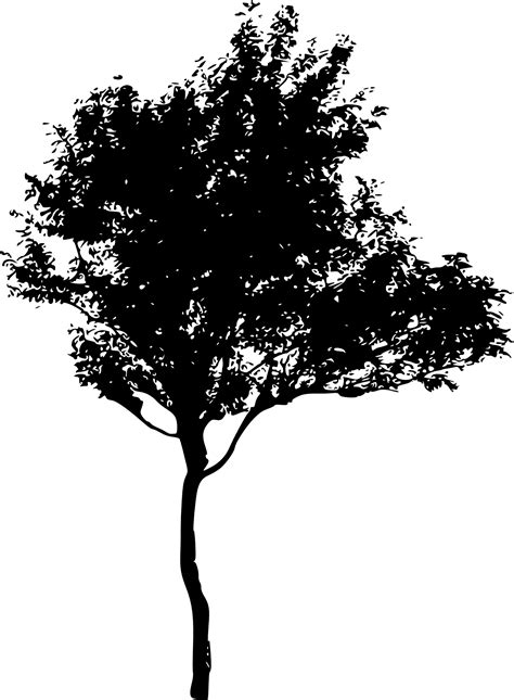 silhouette  trees png full size png image pngkit
