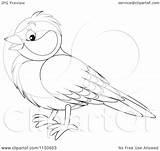 Bird Outlined Cartoon Clipart Royalty Vector Bannykh Alex Illustration sketch template