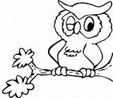 Coloring Owl Cute sketch template