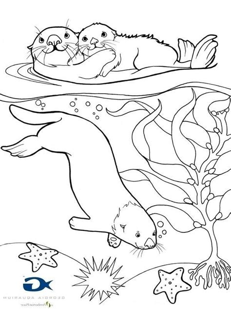 baby animal otter coloring pages