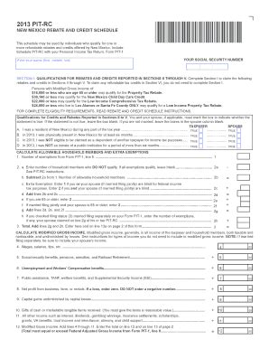 pit rc  mexico rebate credit fill  printable fillable
