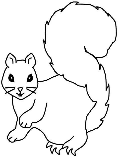 squirrel template coloring home