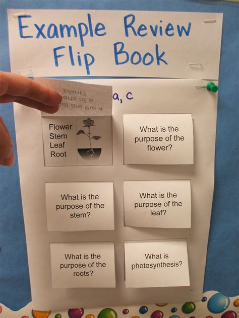 review flip book science teacher resources elementary school