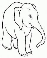 Elefante Elefantes Elefant Pintar sketch template