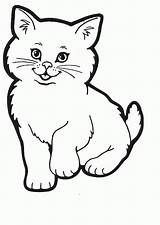 Cartoon Coloring Pages Cat Colouring Cats Popular sketch template