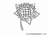 Coloring Pages Litmus Printable Flower Sheet Title Coloringpagesfree sketch template