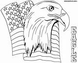 Eagle Coloring Bald Pages Flying Adults Printable Silhouette Head Harpy Getdrawings Getcolorings Adult Color Realistic Colorings sketch template