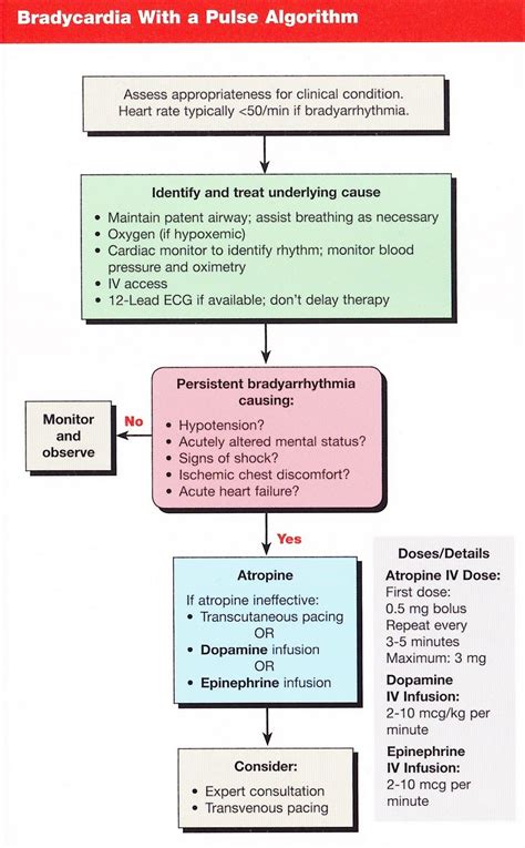 Bradycardia Emergency Nursing Acls Nurse