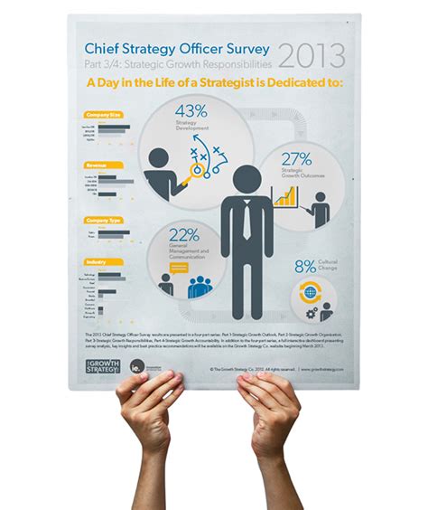 Chief Strategy Officer Survey Infographic Series On Behance