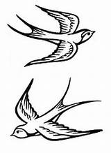 Swallow Tattoo Bird Tattoos Simple Sparrow Choose Board Birds Tatoo sketch template