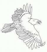Coloring Pages Eagle Fly Animal Drawing sketch template