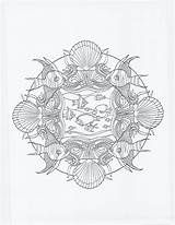 Mandala Seahorse sketch template