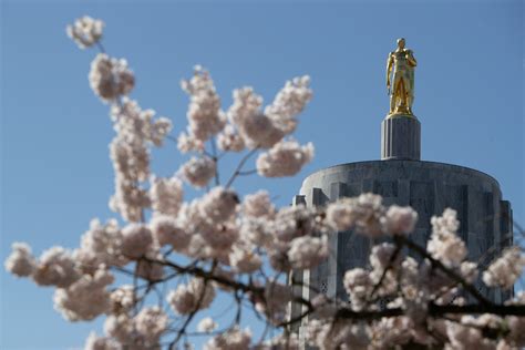 oregon economic forecast  money  legislature  spend bigger