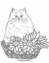 Coloring Cat Pages Flowers Persian Cats Book Flower Color Printable Getcolorings Fresh Sheet Choose Board sketch template
