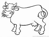 Coloring Pages Beef Getdrawings sketch template