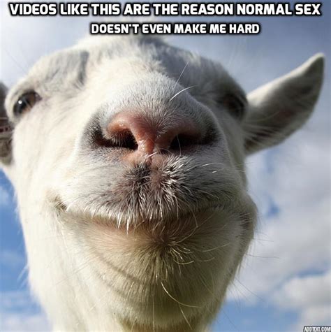 Goat Porn Album On Imgur