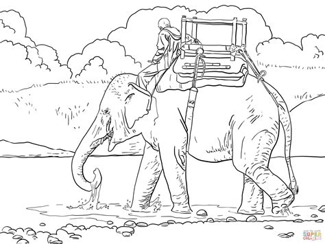 indian elephant coloring page   indian elephant