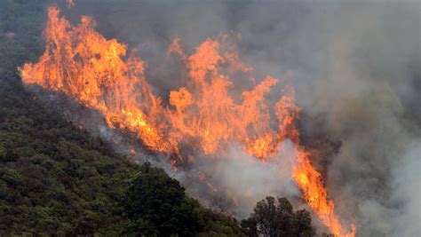 wildfire  californias big sur burns dozens  homes