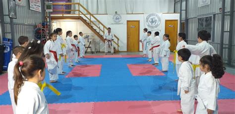 kumite academia de karate escuela shotokan maldonado